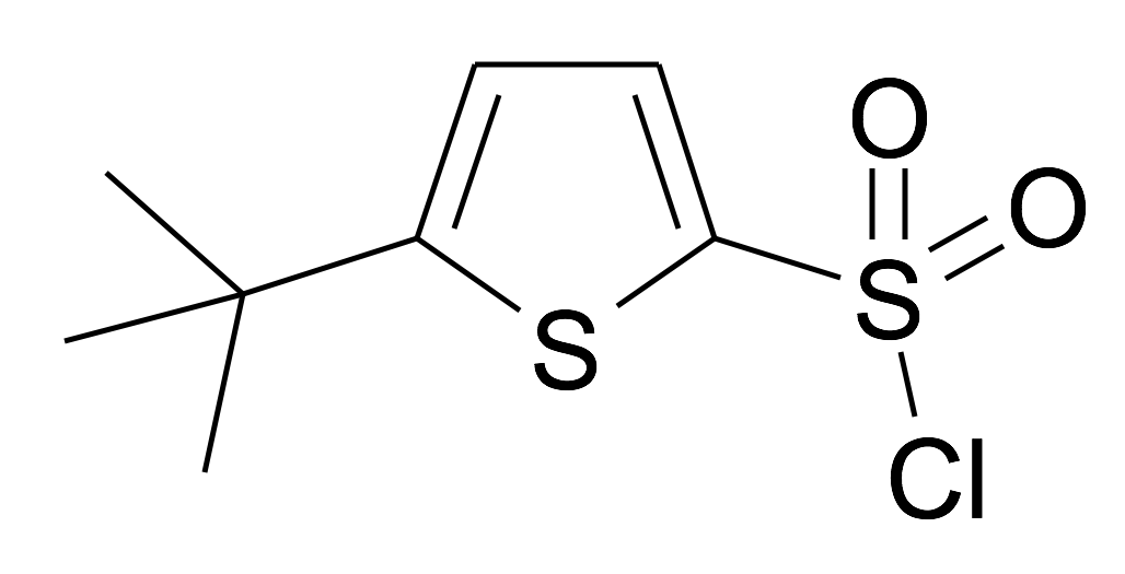 5-tert-Butyl-thiophene-2-sulfonyl chloride