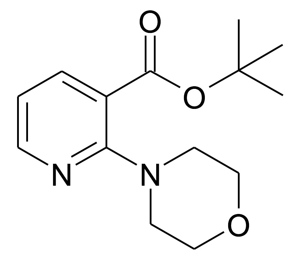 2-Morpholin-4-yl-nicotinic acid tert-butyl ester