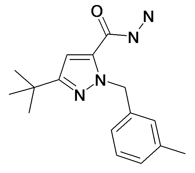 5-tert-Butyl-2-(3-methyl-benzyl)-2H-pyrazole-3-carboxylic acid hydrazide