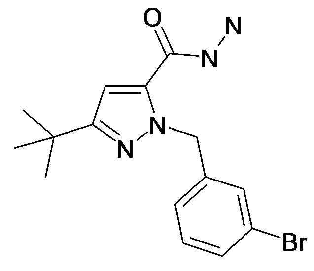 2-(3-Bromo-benzyl)-5-tert-butyl-2H-pyrazole-3-carboxylic acid hydrazide