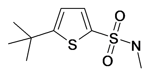 5-tert-Butyl-thiophene-2-sulfonic acid methylamide