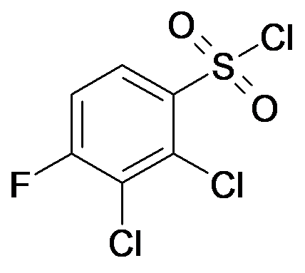 2,3-Dichloro-4-fluoro-benzenesulfonyl chloride