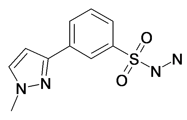 3-(1-Methyl-1H-pyrazol-3-yl)-benzenesulfonyl hydrazide