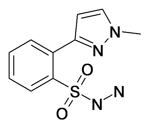 2-(1-Methyl-1H-pyrazol-3-yl)-benzenesulfonyl hydrazide