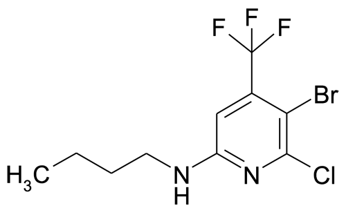 (5-Bromo-6-chloro-4-trifluoromethyl-pyridin-2-yl)-butyl-amine