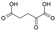 2-Oxo-pentanedioic acid