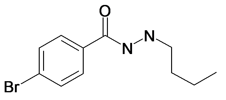 4-Bromo-benzoic acid N'-butyl-hydrazide