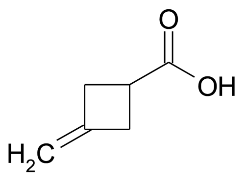 3-Methylenecyclobutanecarboxylic acid
