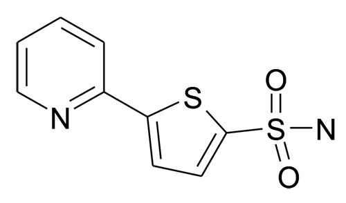 5-Pyridin-2-yl-thiophene-2-sulfonic acid amide