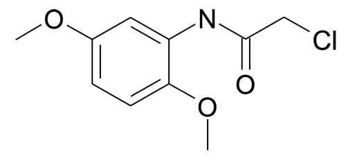 2-Chloro-N-(2,5-dimethoxy-phenyl)-acetamide