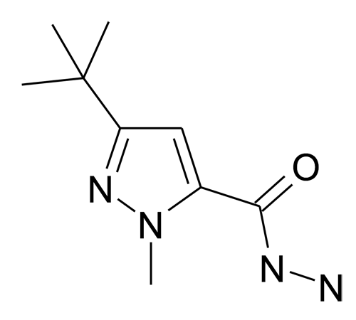 5-tert-Butyl-2-methyl-2H-pyrazole-3-carboxylic acid hydrazide